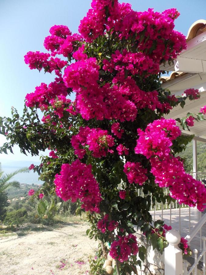 Vasiliki View Villa Agios Petros  Exterior photo
